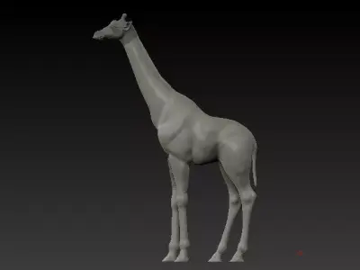 Jiraffe giraffe 3D model