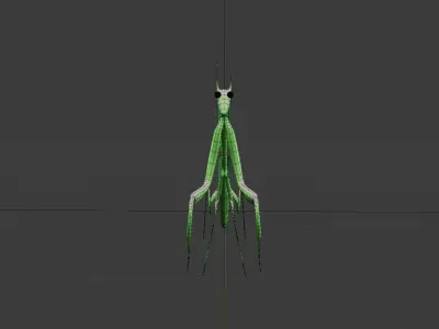 Mantis 3D MODEL Low-poly 3D model