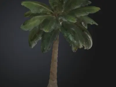 3D printable palm tree model 3D print model