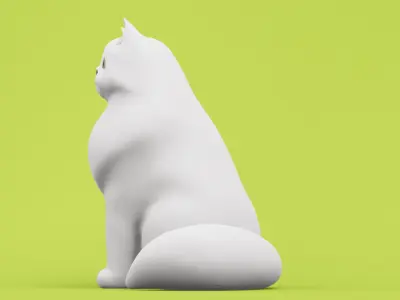 Persian Cat 3D model