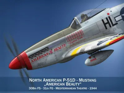 North American P-51D - American Beauty  3D model