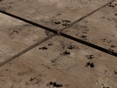 SPOILED OLD WOOD Free 3D model