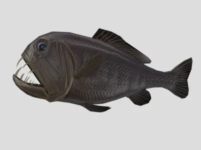 fangtooth Realistic Animated Low-poly 3D model