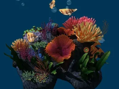 Coral reef transparent 3D model