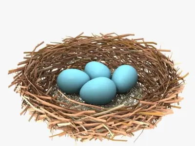 BirdsNest bird nest 3D model