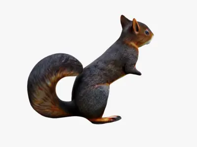 Squirrel Free 3D model
