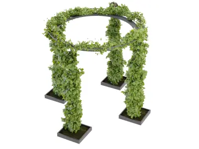 Collection plant vol 269 blender model Free low-poly 3D model