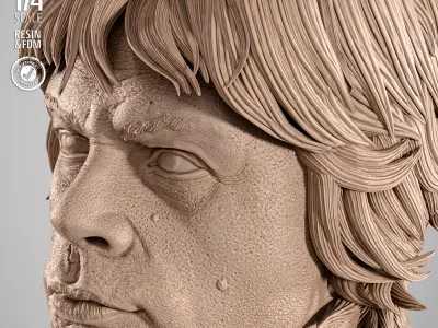 STAR WARS Luke Stromtrooper Portrait Bust 3D print model purchase