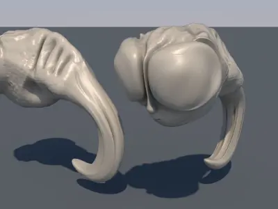 Human Puppa 3D model