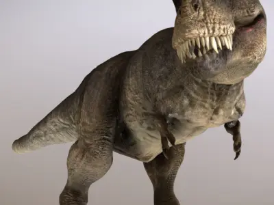 Tyrannosaurus rex Low-poly 3D model