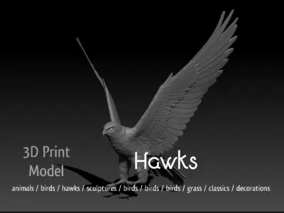 Accipiter gentilis 3D print model
