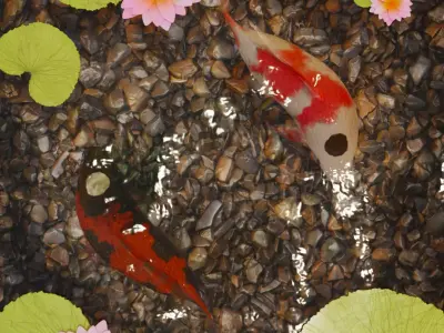 Yin Yang Koi Pond Free low-poly 3D model