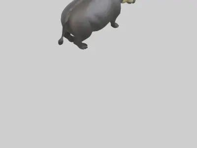 Brazilian Tapir resting model 3D model