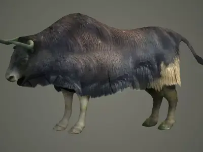 animals mammal animation nature wild ox yak domestic yak 3D model