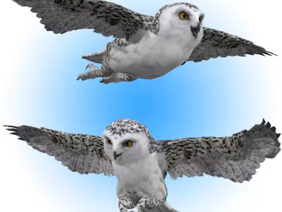 Snowy White Owl Animated Low-poly 3D model