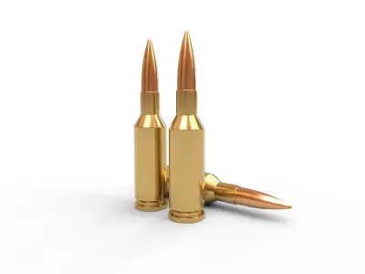 22 PPC Ammo Low-poly 3D model