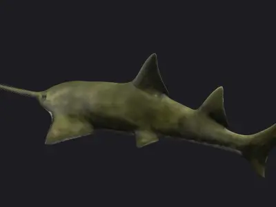 fish shark sawfish animal aquatic extinct ocean 3D model