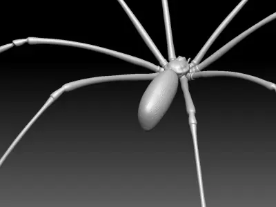 Daddy Long Legs Low-poly 3D model