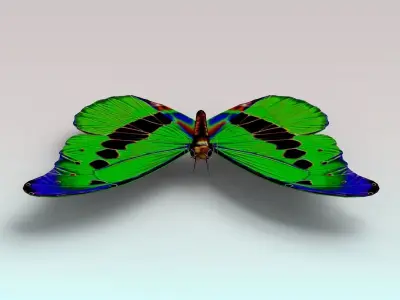 Butterfly with wings Low-poly 3D model