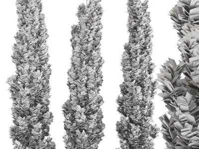 Emerald Cedar Tree 3D Model - 3 Objects- Premium 3D model