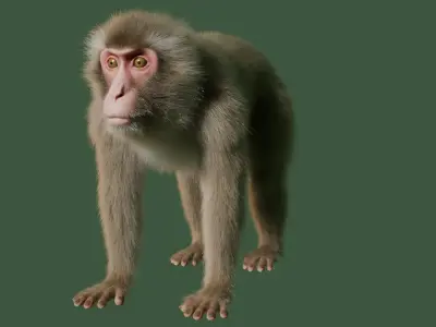 Wild Monkey 3D model