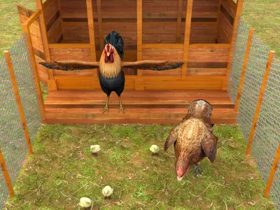 Chicken Coop Low-poly 3D model