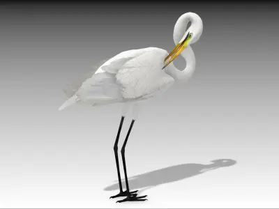 Egret Low-poly 3D model