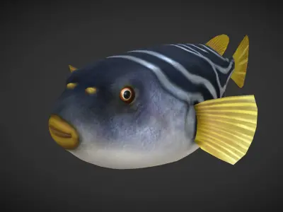 Puffer fish Low-poly 3D model