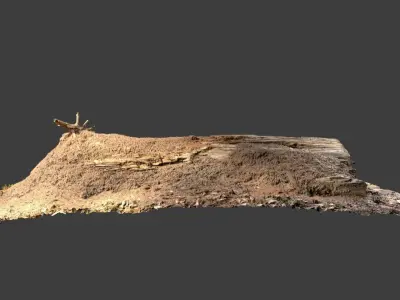 Ant Nest Log Low-poly 3D model