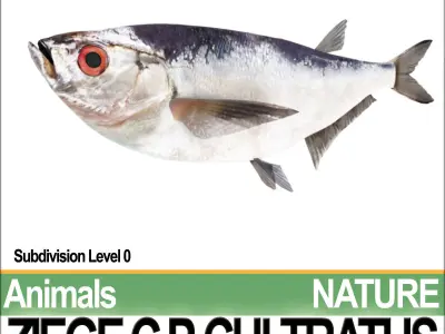 Ziege C zege cp cultivatus 3D model