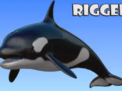 Rigged Orca Low-poly 3D model