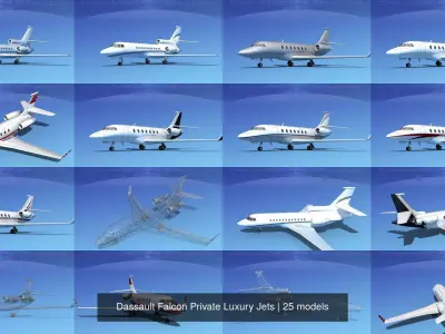 25 Dassault Falcon Private Luxury Jets 3D Model Collection