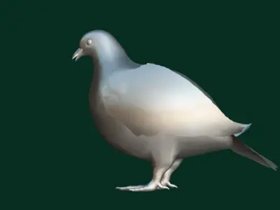 Rock Ptarmigans Bird  Low-poly 3D model