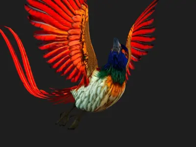 PheasantBird B6 3D model