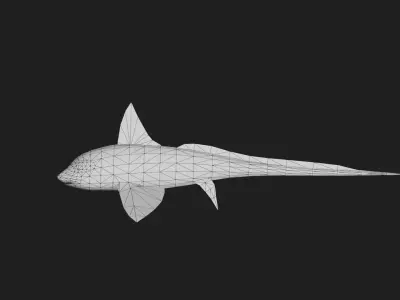 Rabbitfish Low-poly 3D model