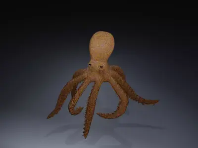 Blender Rigged Octopus 3D model