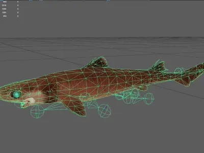Cookiecuttershark Low-poly 3D model