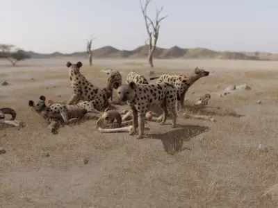 Hyena dog Low-poly 3D model