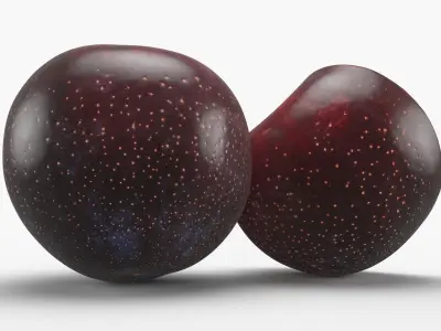 Plum 01 3D model