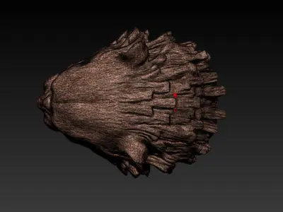 Tiger head Low res 3D model