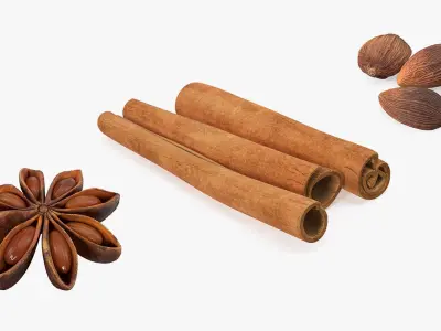 Spices Collection 3D model