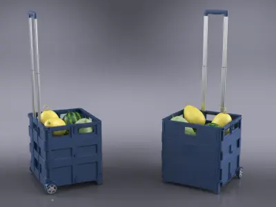 Portable Cart Case with Melons and Watermelons 3D model