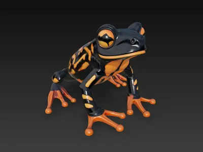 Frog Poisonous Realistic 3D Model Basic - Low Poly Realistic Low-poly 3D model