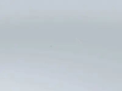 SS Panels Free 3D model