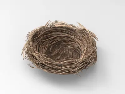 Bird Nest 3D model Low-poly 3D model