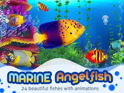 Marine Angelfish Low-poly 3D model