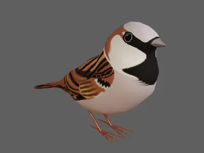 Sparrow Low-poly 3D model