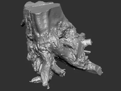 3d scan of tree root in highpoly 3D model