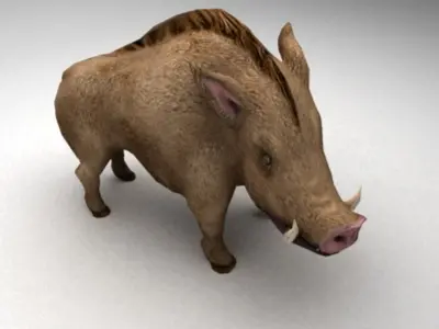 Wild boar 3D model get