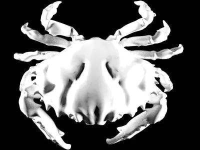 Base crab Low-poly 3D model